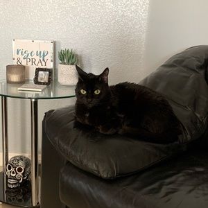 Meet your Posher, Maria